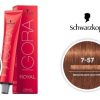Schwarzkopf Igora Royal 7-57 Medium Blonde Gold Copper Permanent Colour - 7-57 - pack of 2