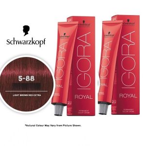Schwarzkopf Igora Royal 5-88 Light Brown Auburn Red Permanent Color - 2pks