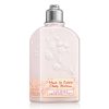Moisturising Lotion Cherry Blossom L'occitane (250 ml)