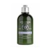 L Occitane Aromachologie Gentle & Balance Conditioner 300ml