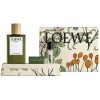 LOEWE ESENCIA set 3 pz